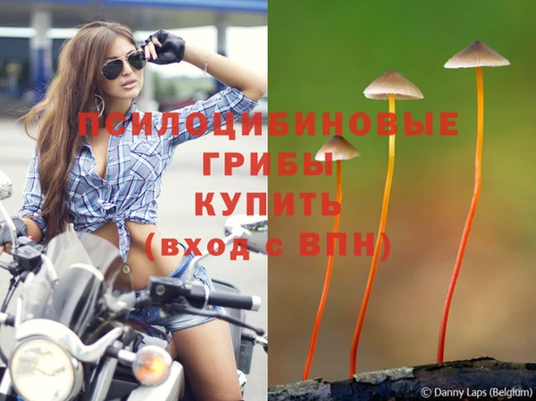 кокс Лагань