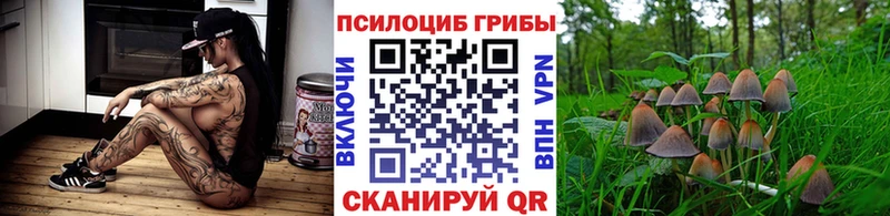 где найти   OMG ONION  Псилоцибиновые грибы MAGIC MUSHROOMS  Черепаново 